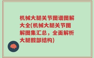 机械大腿关节图谱图解大全(机械大腿关节图解图集汇总，全面解析大腿髋部结构)