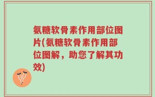 氨糖软骨素作用部位图片(氨糖软骨素作用部位图解，助您了解其功效)