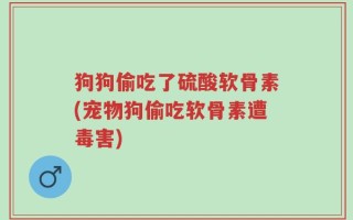 狗狗偷吃了硫酸软骨素(宠物狗偷吃软骨素遭毒害)