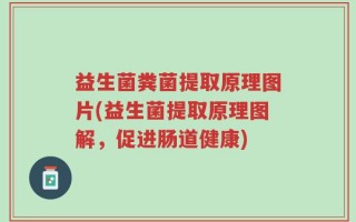 益生菌粪菌提取原理图片(益生菌提取原理图解，促进肠道健康)