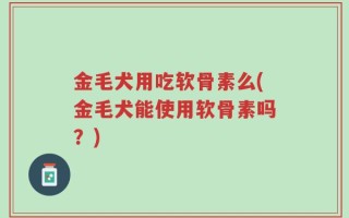 金毛犬用吃软骨素么(金毛犬能使用软骨素吗？)