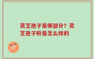 灵芝孢子是哪部分？灵芝孢子粉是怎么样的