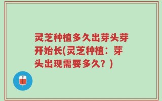 灵芝种植多久出芽头芽开始长(灵芝种植：芽头出现需要多久？)
