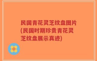 民国青花灵芝纹盘图片(民国时期珍贵青花灵芝纹盘展示真迹)