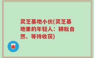 灵芝基地小伙(灵芝基地里的年轻人：耕耘自然、等待收获)