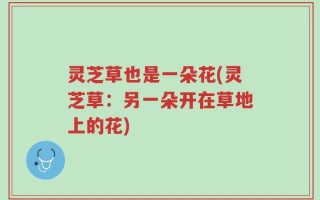 灵芝草也是一朵花(灵芝草：另一朵开在草地上的花)