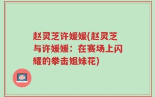 赵灵芝许媛媛(赵灵芝与许媛媛：在赛场上闪耀的拳击姐妹花)