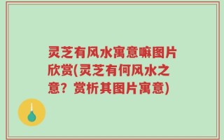 灵芝有风水寓意嘛图片欣赏(灵芝有何风水之意？赏析其图片寓意)
