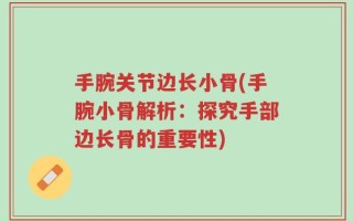手腕关节边长小骨(手腕小骨解析：探究手部边长骨的重要性)