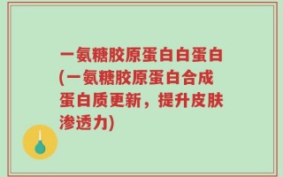 一氨糖胶原蛋白白蛋白(一氨糖胶原蛋白合成蛋白质更新，提升皮肤渗透力)