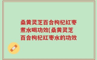 桑黄灵芝百合枸杞红枣煮水喝功效(桑黄灵芝百合枸杞红枣水的功效