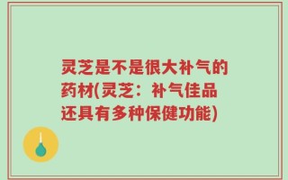 灵芝是不是很大补气的药材(灵芝：补气佳品还具有多种保健功能)