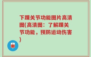 下踝关节功能图片高清图(高清图：了解踝关节功能，预防运动伤害)