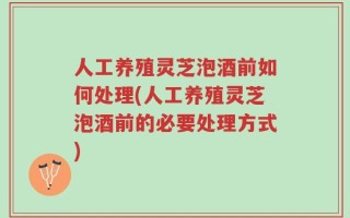 人工养殖灵芝泡酒前如何处理(人工养殖灵芝泡酒前的必要处理方式)