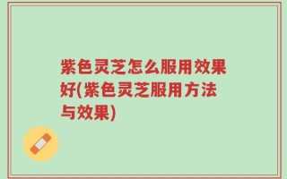 紫色灵芝怎么服用效果好(紫色灵芝服用方法与效果)