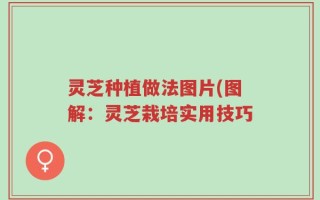 灵芝种植做法图片(图解：灵芝栽培实用技巧