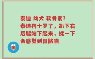 泰迪 幼犬 软骨素？泰迪狗十岁了，趴下右后腿站下起来，揉一下会感觉到骨骼响