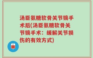 汤臣氨糖软骨关节镜手术后(汤臣氨糖软骨关节镜手术：缓解关节损伤的有效方式)
