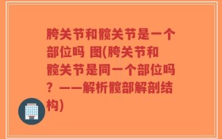 胯关节和髋关节是一个部位吗 图(胯关节和髋关节是同一个部位吗？——解析髋部解剖结构)