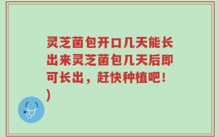 灵芝菌包开口几天能长出来灵芝菌包几天后即可长出，赶快种植吧！)