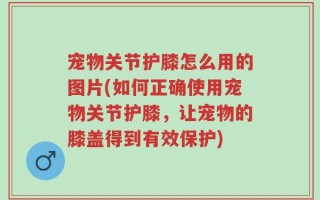 宠物关节护膝怎么用的图片(如何正确使用宠物关节护膝，让宠物的膝盖得到有效保护)