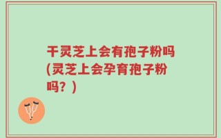 干灵芝上会有孢子粉吗(灵芝上会孕育孢子粉吗？)