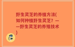 野生灵芝的养植方法(如何种植野生灵芝？——野生灵芝的养殖技术)