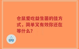 仓鼠爱吃益生菌的佳方式，简单又有效你还在等什么？