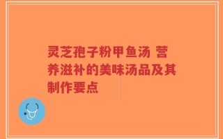 灵芝孢子粉甲鱼汤 营养滋补的美味汤品及其制作要点