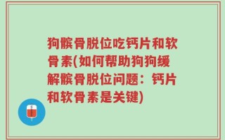 狗髌骨脱位吃钙片和软骨素(如何帮助狗狗缓解髌骨脱位问题：钙片和软骨素是关键)