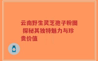云南野生灵芝孢子粉图 探秘其独特魅力与珍贵价值