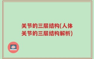 关节的三层结构(人体关节的三层结构解析)