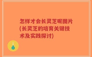 怎样才会长灵芝呢图片(长灵芝的培育关键技术及实践探讨)