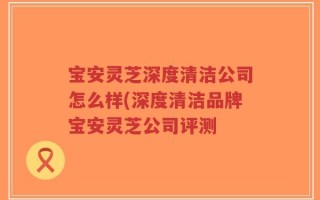 宝安灵芝深度清洁公司怎么样(深度清洁品牌宝安灵芝公司评测