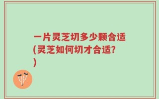 一片灵芝切多少颗合适(灵芝如何切才合适？)
