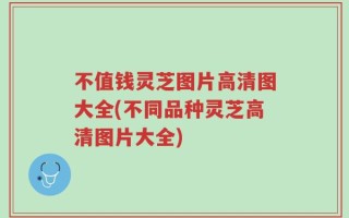 不值钱灵芝图片高清图大全(不同品种灵芝高清图片大全)