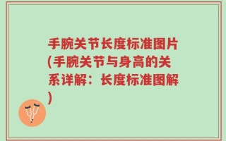 手腕关节长度标准图片(手腕关节与身高的关系详解：长度标准图解)