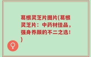 葛根灵芝片图片(葛根灵芝片：中药材佳品，强身养颜的不二之选！)