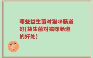 哪些益生菌对猫咪肠道好(益生菌对猫咪肠道的好处)