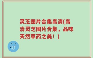 灵芝图片合集高清(高清灵芝图片合集，品味天然草药之美！)