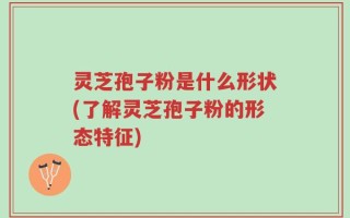 灵芝孢子粉是什么形状(了解灵芝孢子粉的形态特征)