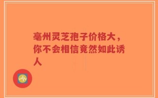 亳州灵芝孢子价格大，你不会相信竟然如此诱人
