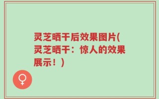 灵芝晒干后效果图片(灵芝晒干：惊人的效果展示！)