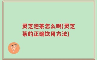 灵芝泡茶怎么喝(灵芝茶的正确饮用方法)