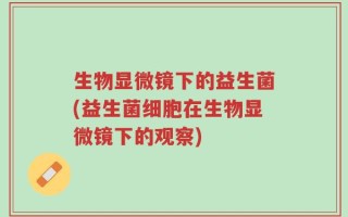 生物显微镜下的益生菌(益生菌细胞在生物显微镜下的观察)