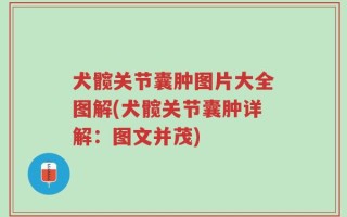 犬髋关节囊肿图片大全图解(犬髋关节囊肿详解：图文并茂)