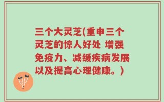 三个大灵芝(重申三个灵芝的惊人好处 增强免疫力、减缓疾病发展以及提高心理健康。)