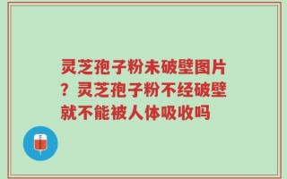 灵芝孢子粉未破壁图片？灵芝孢子粉不经破壁就不能被人体吸收吗