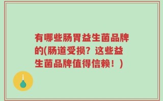 有哪些肠胃益生菌品牌的(肠道受损？这些益生菌品牌值得信赖！)