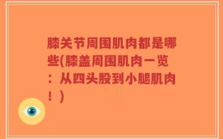 膝关节周围肌肉都是哪些(膝盖周围肌肉一览：从四头股到小腿肌肉！)